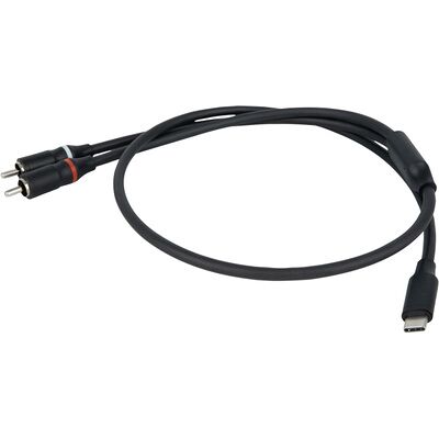 DAP Audio FL110 - USB-C to 2 RCA - 1.5 m Schwarz DAP Audio FL110 - USB-C to 2 RCA - 1.5 m Schwarz