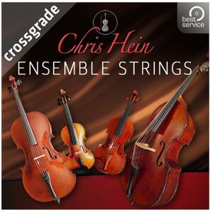 Best Service Chris Hein Ensemble Strings CG