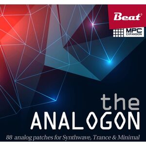 Beat Magazin The Analogon