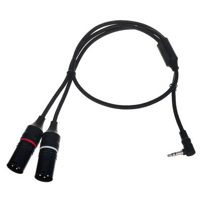 DAP Audio FL117 TRS 90° 2x XLR/M 0.75m Schwarz DAP Audio FL117 TRS 90° 2x XLR/M 0.75m Schwarz