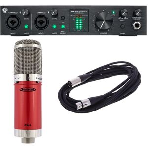 Black Lion Audio Revolution 2x2 Mic Bundle Schwarz