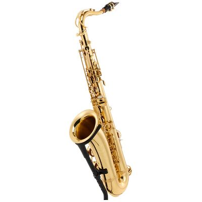 Startone STS-75 Tenor Sax Startone STS-75 Tenor Sax