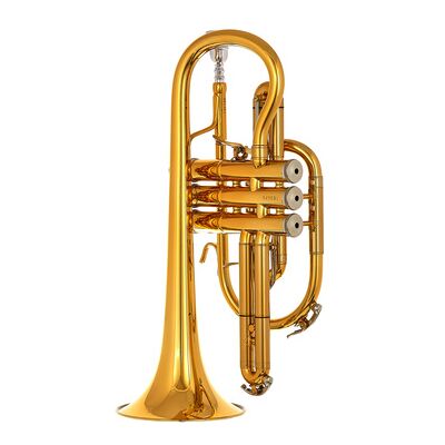 B&S 3142/2-GL Brochon Bb-Cornet B&S 3142/2-GL Brochon Bb-Cornet
