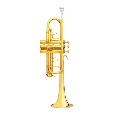 B&S 3136TC-GL Challenger II B&S 3136TC-GL Challenger II