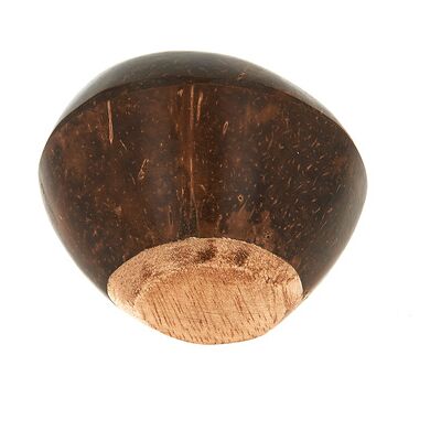 Terre Shaker Coconut - 453 Terre Shaker Coconut - 453