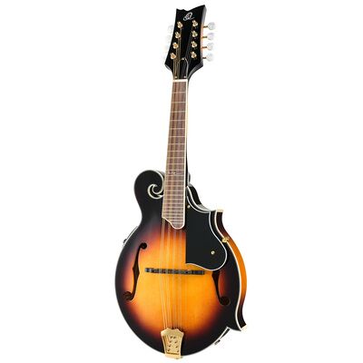 Ortega RMFE90TS Tobacco Sunburst Hochglanz Ortega RMFE90TS Tobacco Sunburst Hochglanz
