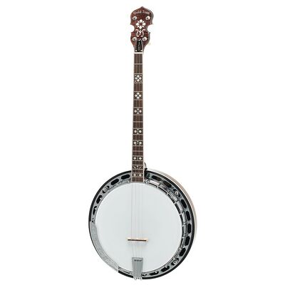 Gold Tone TS-250 Tenor Banjo w/Case Vintage Braun hochglanz Gold Tone TS-250 Tenor Banjo w/Case Vintage Braun hochglanz