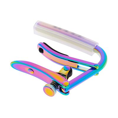 Shubb C1P Capo E and Acousticguitar Shubb C1P Capo E and Acousticguitar