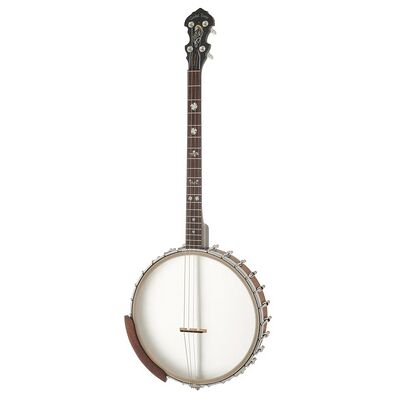 Gold Tone IT-19 Irish Tenor Banjo w/Bag Vintage Brown Satin Gold Tone IT-19 Irish Tenor Banjo w/Bag Vintage Brown Satin