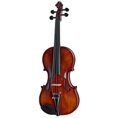 Roth & Junius Bird`s Eye Maple Violin St/E Roth & Junius Bird`s Eye Maple Violin St/E