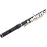 Johannes Gerhard Hammig 750/4 Piccolo Flute