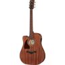 Ibanez AW54LCE-OPN Open Pore Natural