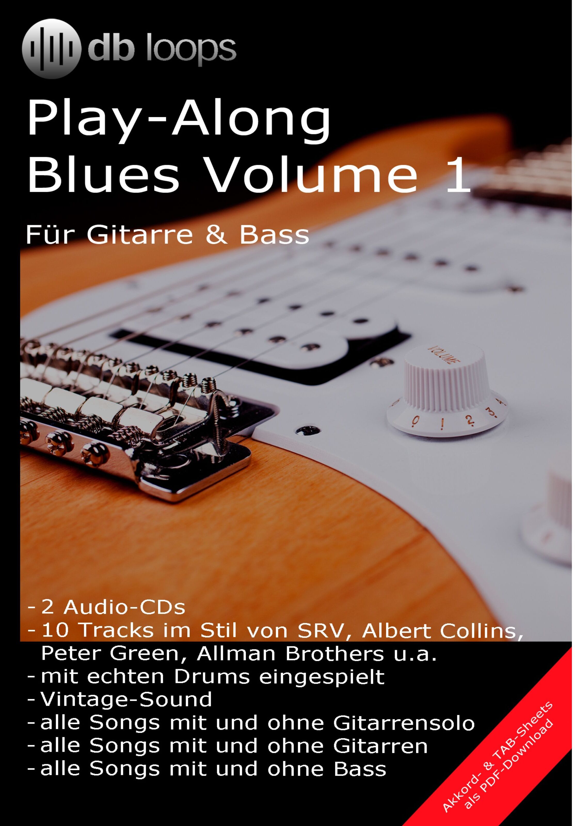 db loops Blues - Volume 1 Gitarre Playalong - DVD