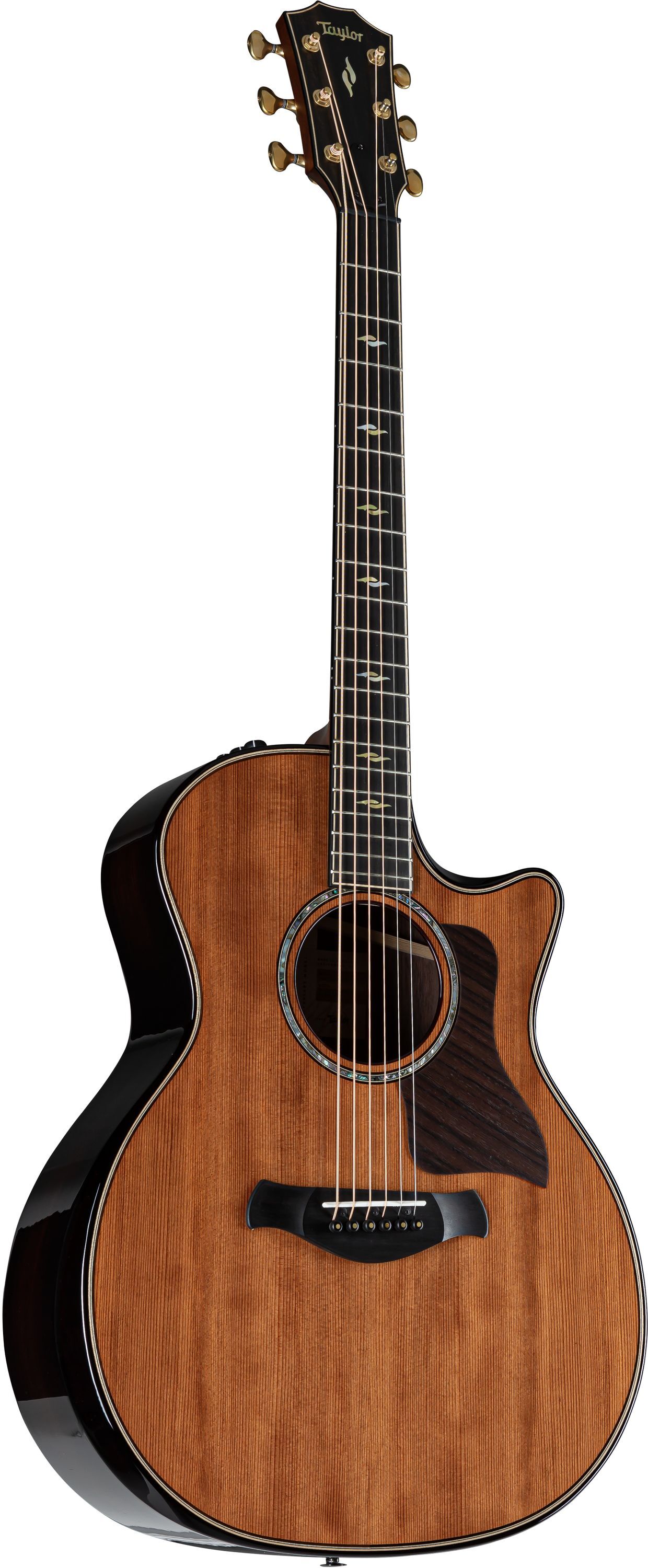 Taylor Builder's Edition 814ce LTD 50th Anniversary - Westerngitarre