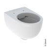 Geberit Renova Comfort Wand-Tiefspül-WC, erhöht, 500694011,