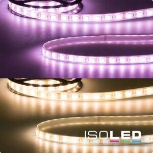 IsoLED Aqua RGB+WW 4-in-1 LED Flexband - LED Flexband IsoLED Aqua RGB+WW 4-in-1 LED Flexband - LED Flexband