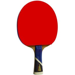 Double Fish Table Tennis Racket 5A+