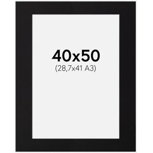 Artlink Passepartout Sort Standard (Hvid Kerne) 40x50 Cm (28,7x41 - A3)