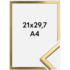 HHC Distribution Ramme Slim Mat Antirefleksglas Guld 21x29,7 Cm (A4)