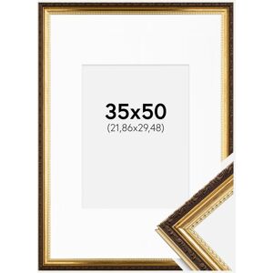 Ram med passepartou Ramme Abisko Guld 35x50 Cm - Passepartout Hvid 9x12 Inches (22,86x30,48 Cm)