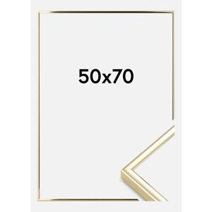 Ramme Nielsen Premium Classic Guld 50x70 Cm