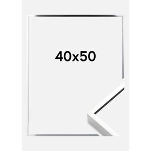 Ramme Nielsen Premium Alpha Blank Sølv 40x50 Cm