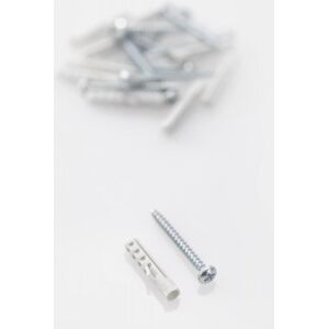 Rawplugs 30 X 6 Mm Med Skrue 10-P