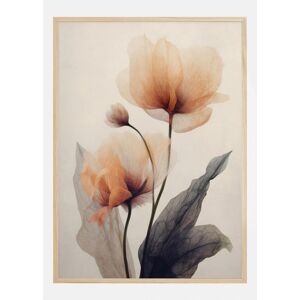 Bildverkstad Parchment Flowers No 6 Plakat (30x40 Cm)
