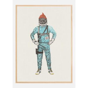 Bildverkstad Zissou In Space Plakat (21x29.7 Cm (A4))