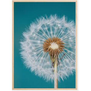 Bildverkstad Dandelion Macro Sky Plakat (21x29.7 Cm (A4))