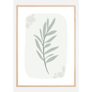 SANNY Formgivare Olive Plakat (50x70 Cm)