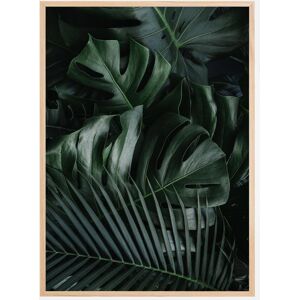 Bildverkstad Monstera Plant Ii Plakat (50x70 Cm)