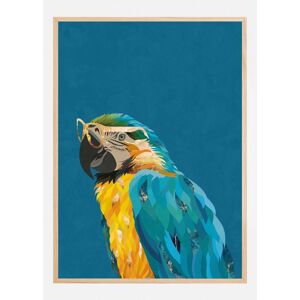 Bildverkstad Vibrant Macaw Wearing Glasses Plakat (100x140 Cm)