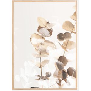 Bildverkstad Eucalyptus Creative Gold I Plakat (50x70 Cm)