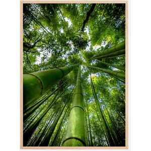 Bildverkstad Arashiyama Plakat (21x29.7 Cm (A4))