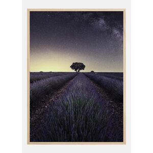 Bildverkstad Lavender Fields Plakat (50x70 Cm)