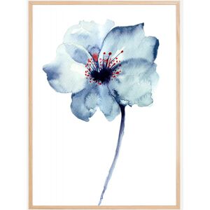 Bildverkstad Aquarelle Flower - Blue Plakat (50x70 Cm)