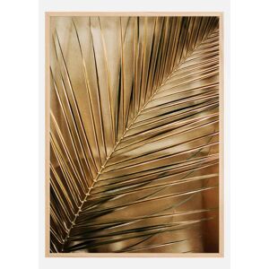 Bildverkstad Golden Palm Plakat (50x70 Cm)