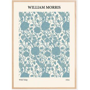 Bildverkstad William Morris - Wild Tulip 3 Plakat (50x70 Cm)