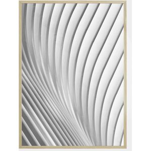 Bildverkstad Calatrava Lines Plakat (50x70 Cm)