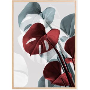 Bildverkstad Monstera Creative Ii Plakat (70x100 Cm)