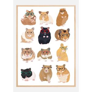 Bildverkstad Hamsters In Glasses Plakat (30x40 Cm)