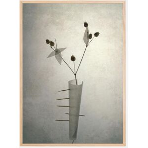 Bildverkstad Spiky Flower Plakat (50x70 Cm)