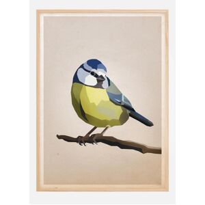 Bildverkstad Blue Tit Plakat (21x29.7 Cm (A4))