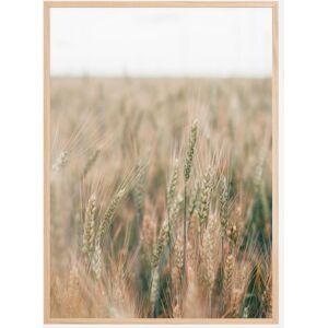 Bildverkstad Summer Fields Plakat (30x40 Cm)