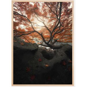 Bildverkstad Maple Plakat (21x29.7 Cm (A4))