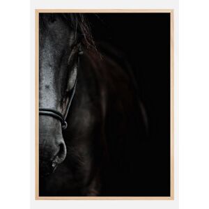 Bildverkstad Dark Horse Plakat (21x29.7 Cm (A4))