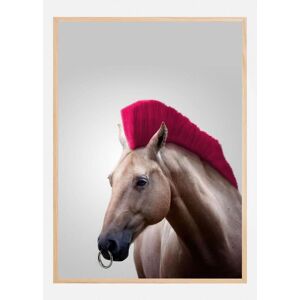 Bildverkstad Wild Horse Plakat (40x60 Cm)