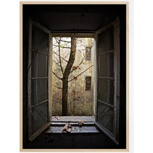 Bildverkstad Autumn In Asylum Plakat (50x70 Cm)