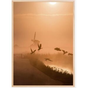 Bildverkstad Sunrise Flight Plakat (50x70 Cm)